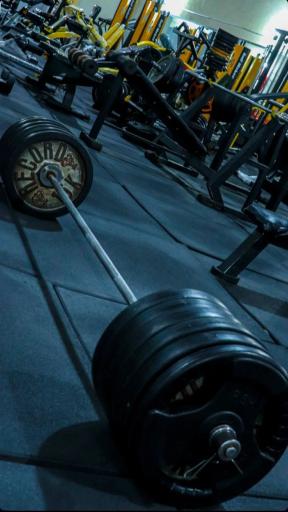 عکس باشگاه بدنسازی اورال (عشقی)