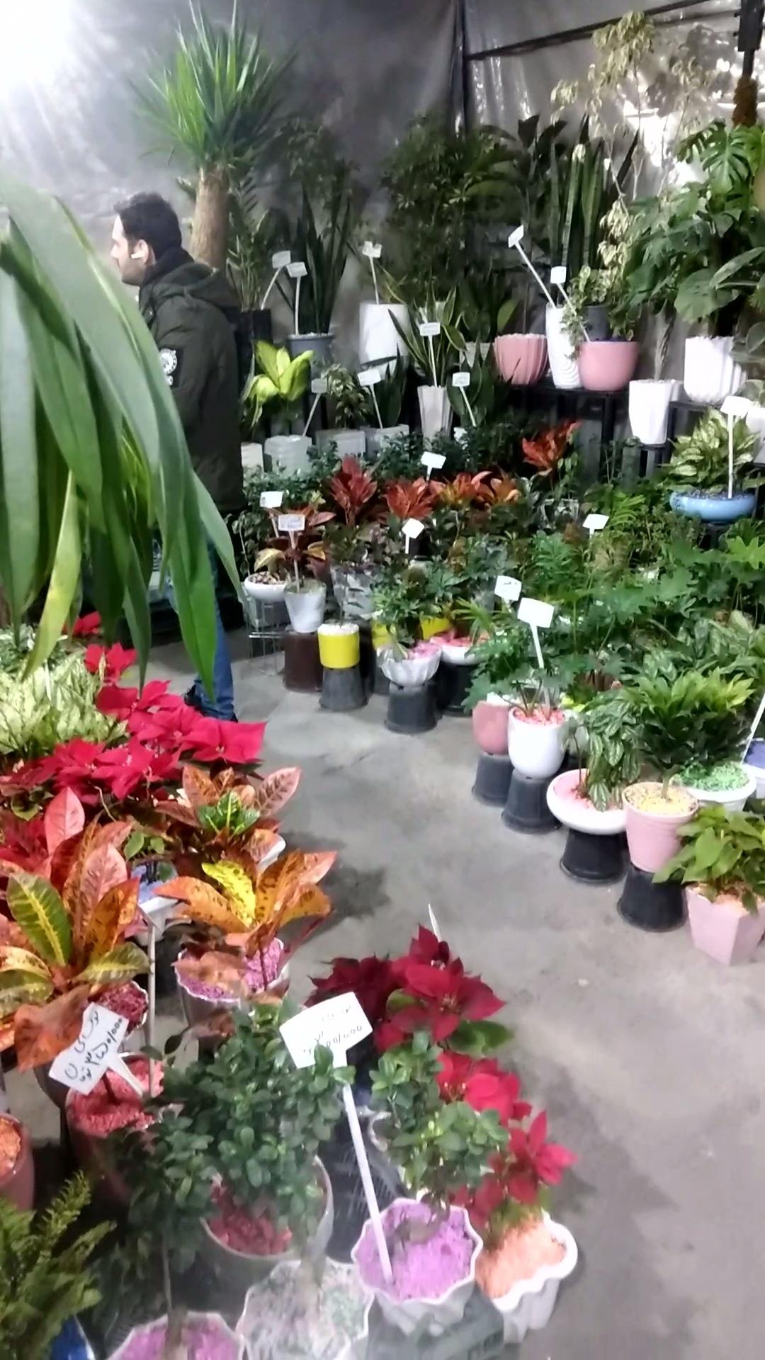 عکس گل فروشی بهشت خرم 