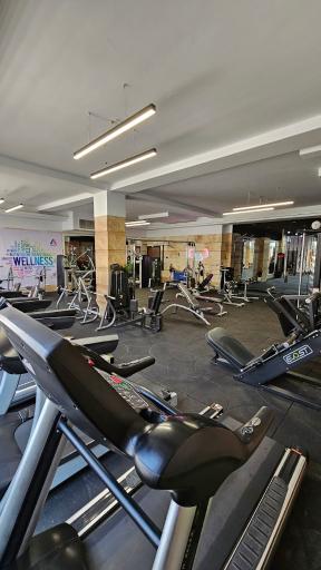 عکس باشگاه بدنسازی بانوان آسنا