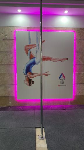 عکس باشگاه بدنسازی بانوان آسنا