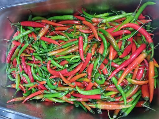 عکس کافه صبحانه فرندز