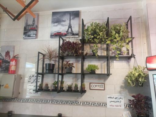 عکس کمپ مزه