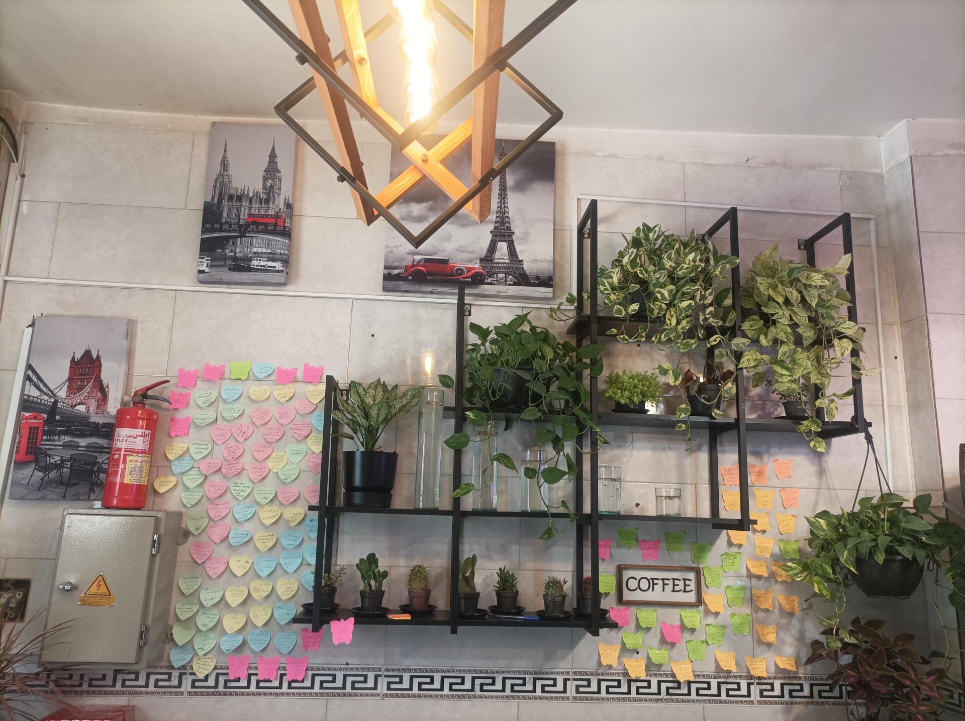 عکس کمپ مزه