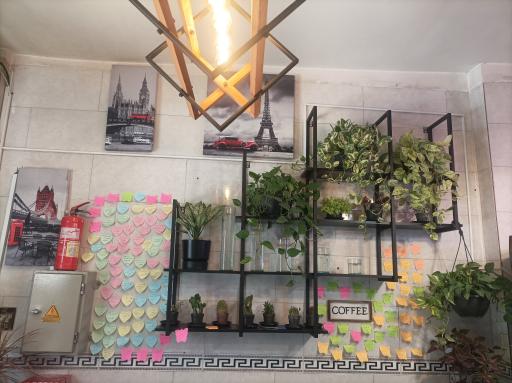 عکس کمپ مزه