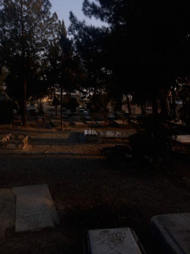 عکس آرامستان دهشاد پایین