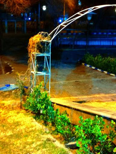 عکس رستوران طلاییه