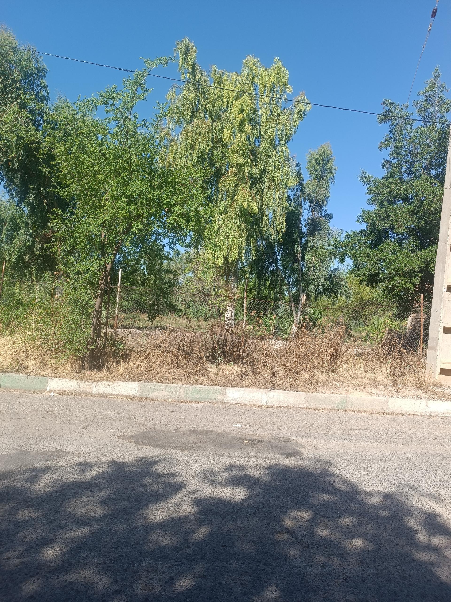 عکس بوستان پرستار