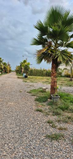 عکس مجتمع گل و گیاه زیبُن