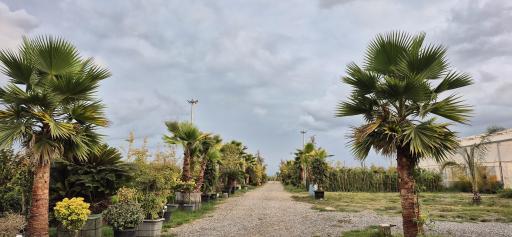 عکس مجتمع گل و گیاه زیبُن