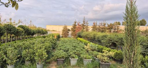 عکس مجتمع گل و گیاه زیبُن