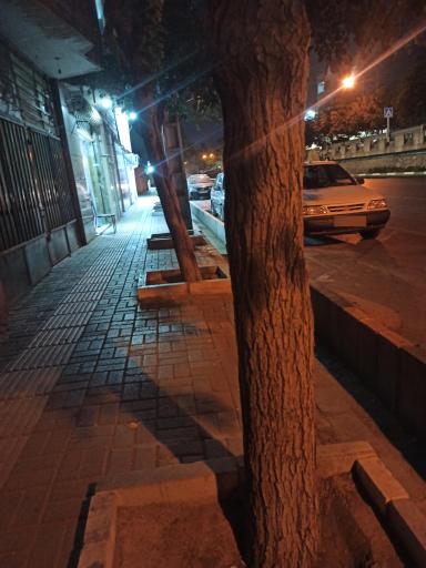 عکس  شهید شیرودی 22