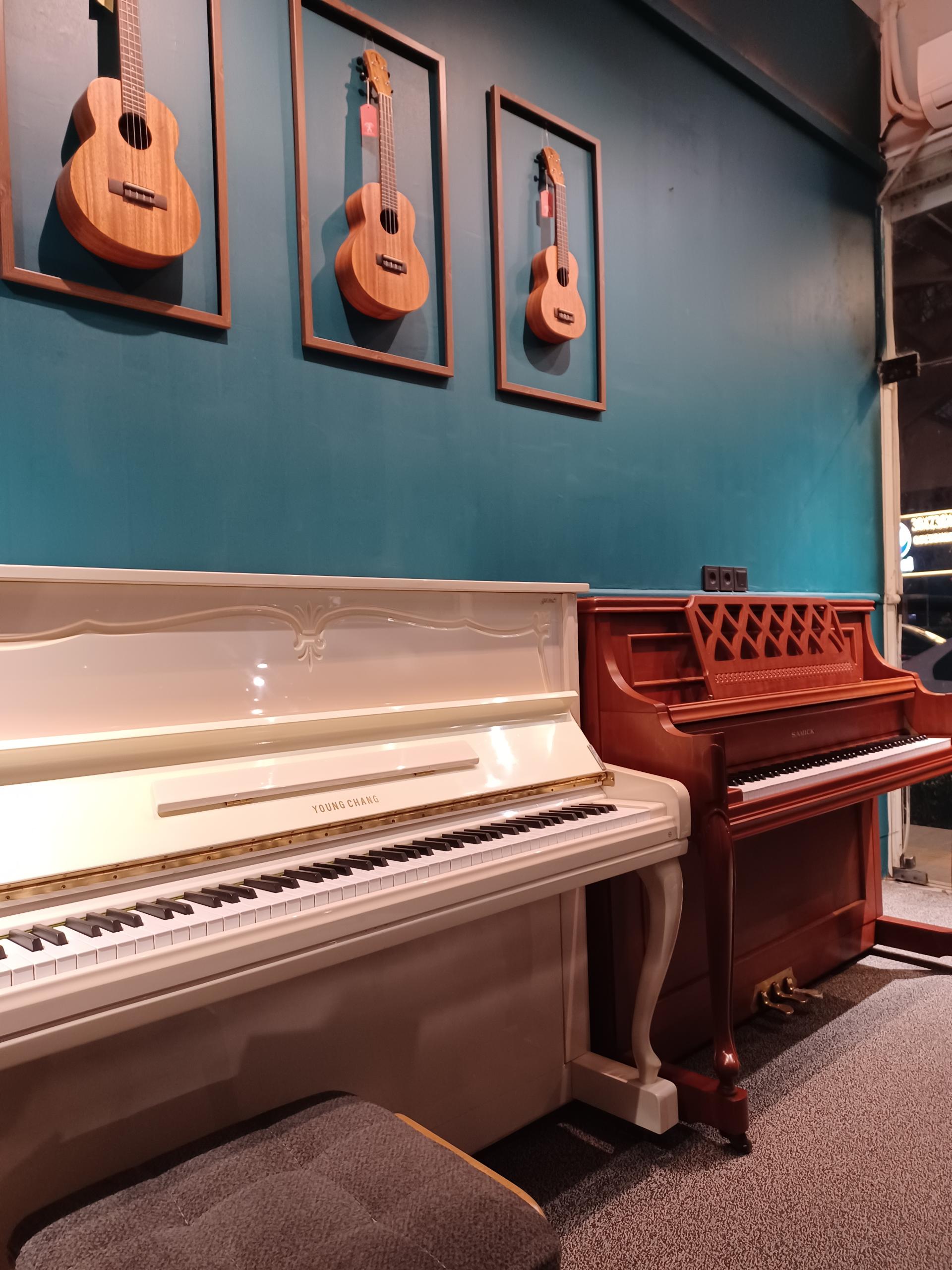 عکس گالری موسیقی دوئت