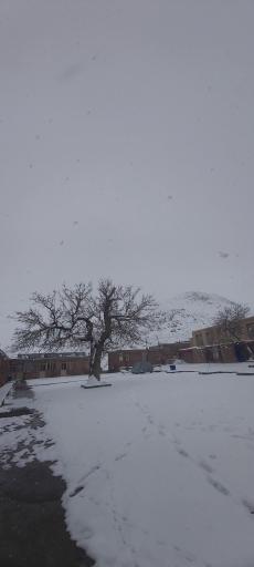 عکس شاهان گرماب