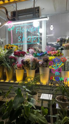 عکس گل فروشی تیهان 