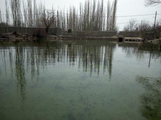 عکس چشمه کرسف