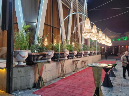 عکس زاموفولیا بهشت ری