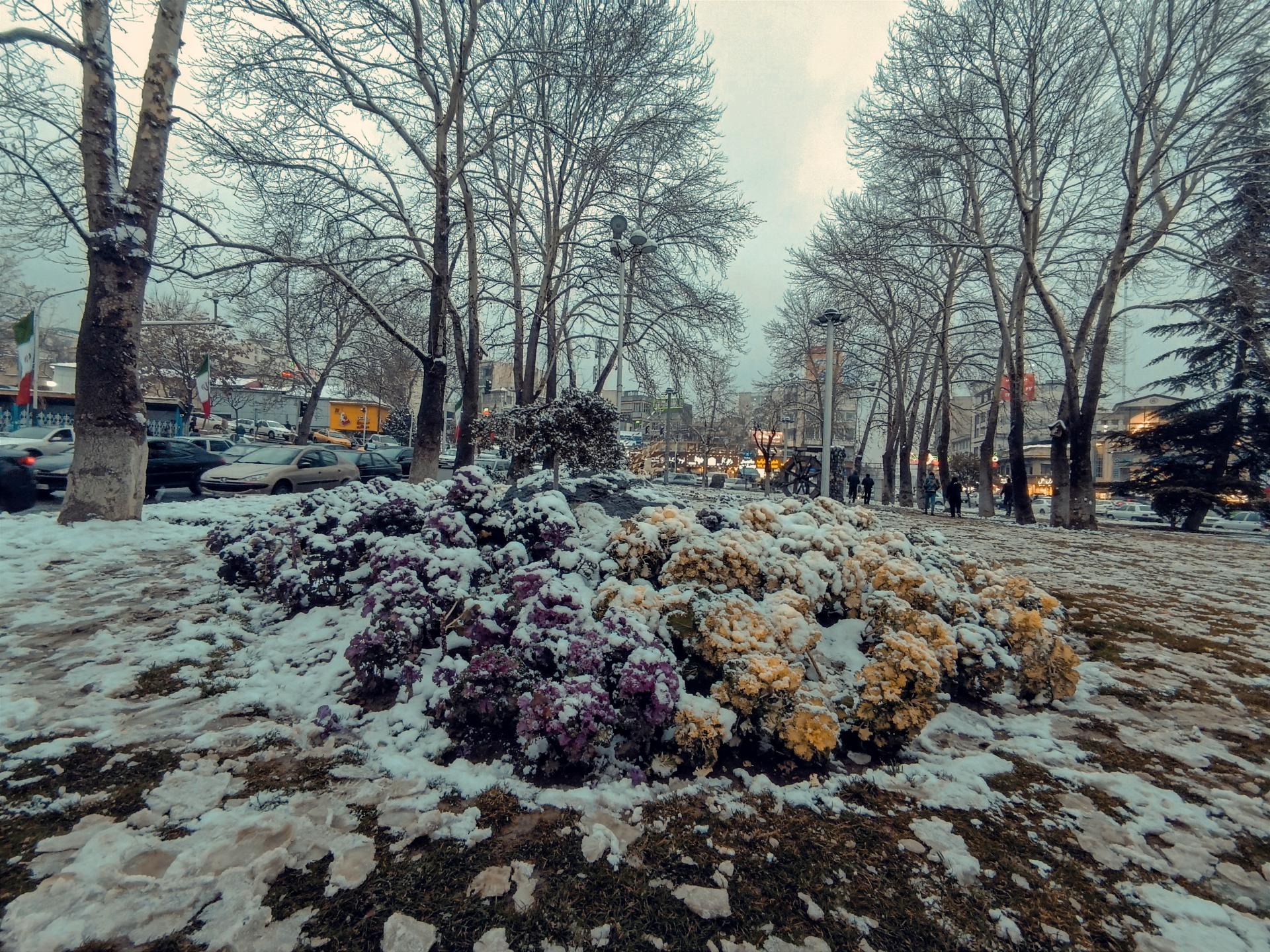 عکس میدان تجریش