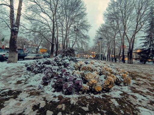 عکس میدان تجریش