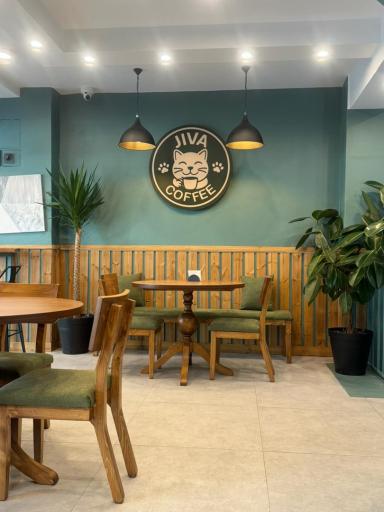 عکس کافه جیوا