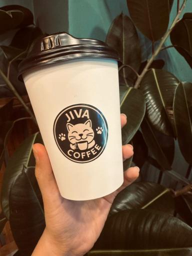 عکس کافه جیوا