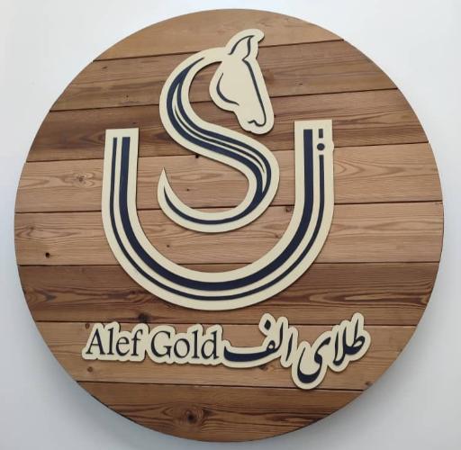 عکس طلای الف نارمک
