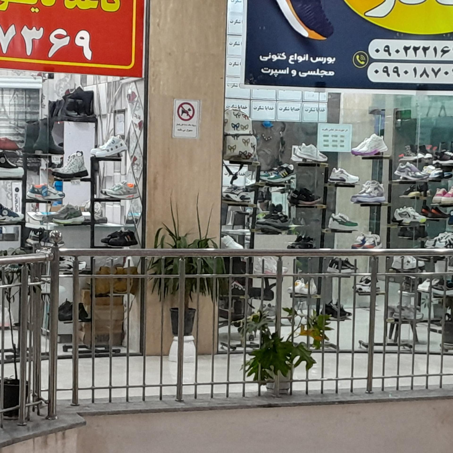 عکس کتونی مادر