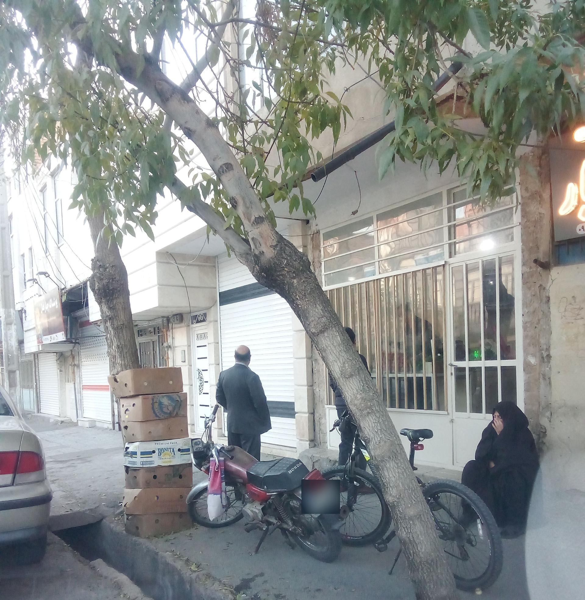 عکس سبزی فروشی مرادی