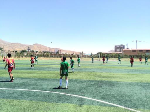 عکس زمین چمن مصنوعی فوتبال 