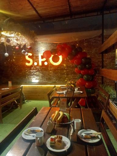 عکس فست فود میچکا