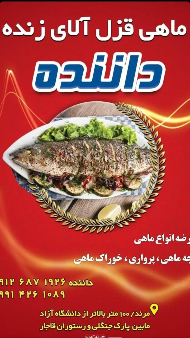 عکس فروشگاه ماهی داننده