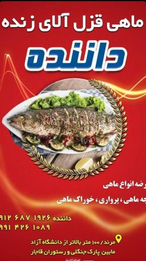 عکس فروشگاه ماهی داننده