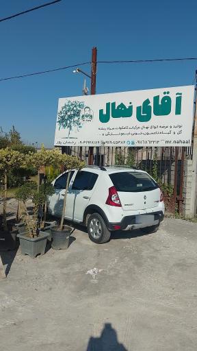 عکس گل و گیاه آقای نهال 