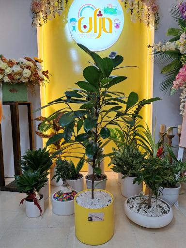 عکس مزون مژان