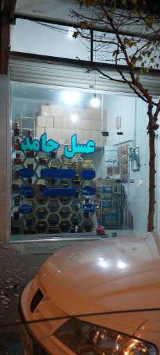 عکس عسل حامد