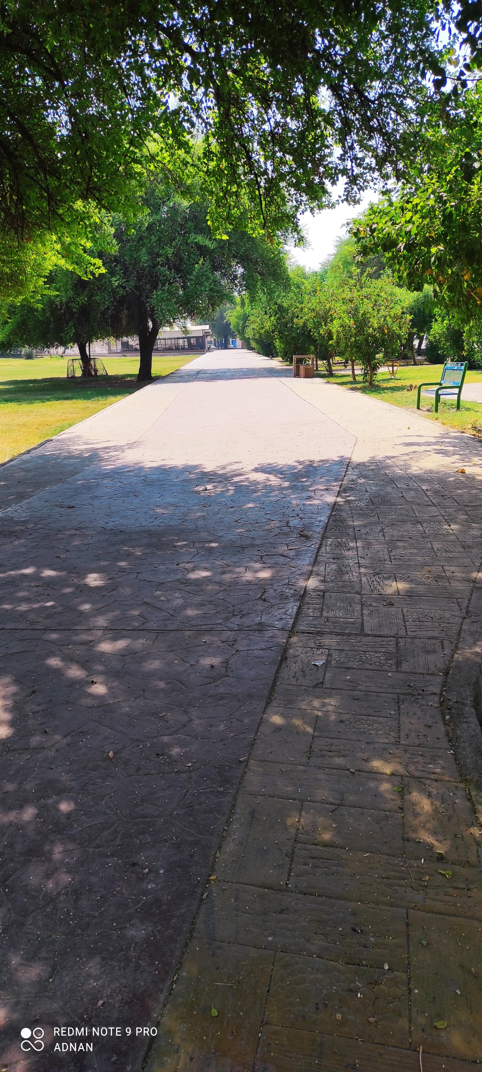 عکس بوستان ساحلی