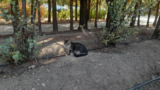 بوستان بانوان نرگس