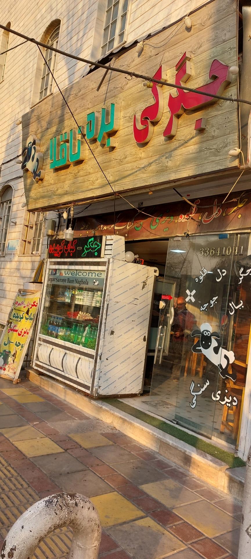 عکس جگرگی بره ناقلا