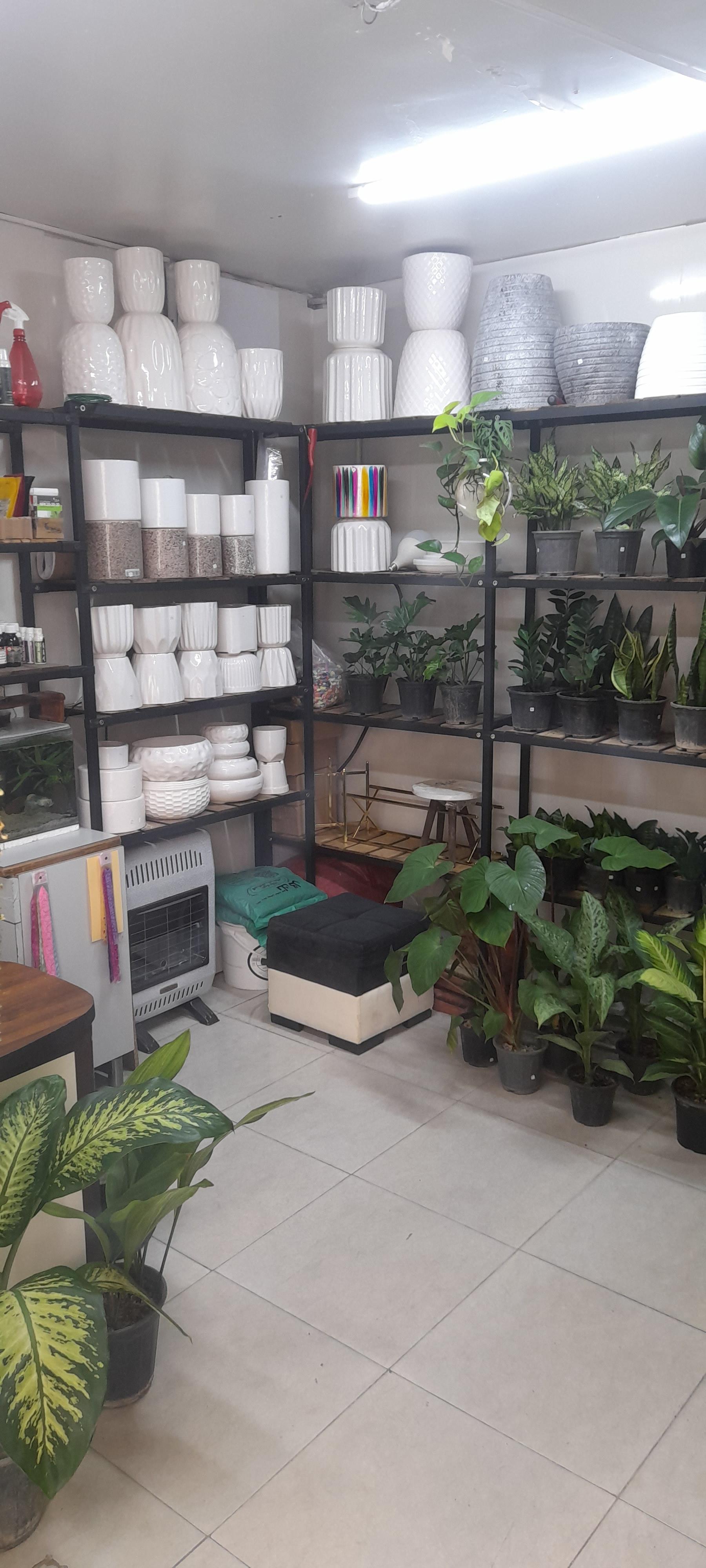 عکس گل فروشی سلطانی 