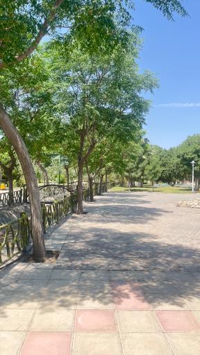 عکس بوستان بانوان نرگس