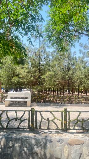 عکس بوستان بانوان نرگس