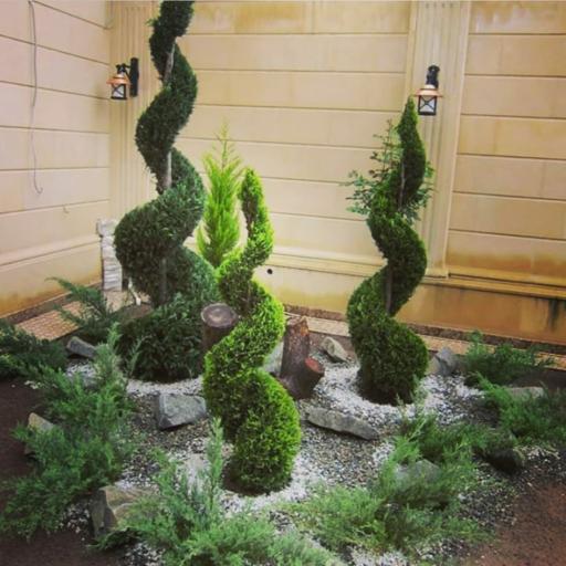 عکس گل و گیاه امیدفراهانی 