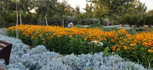 عکس بوستان بانوان نرگس