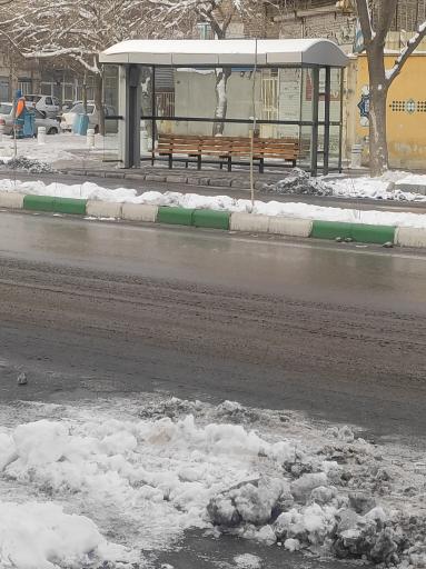 عکس  مسلم شمالی 10