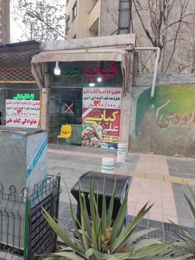 عکس کباب علی