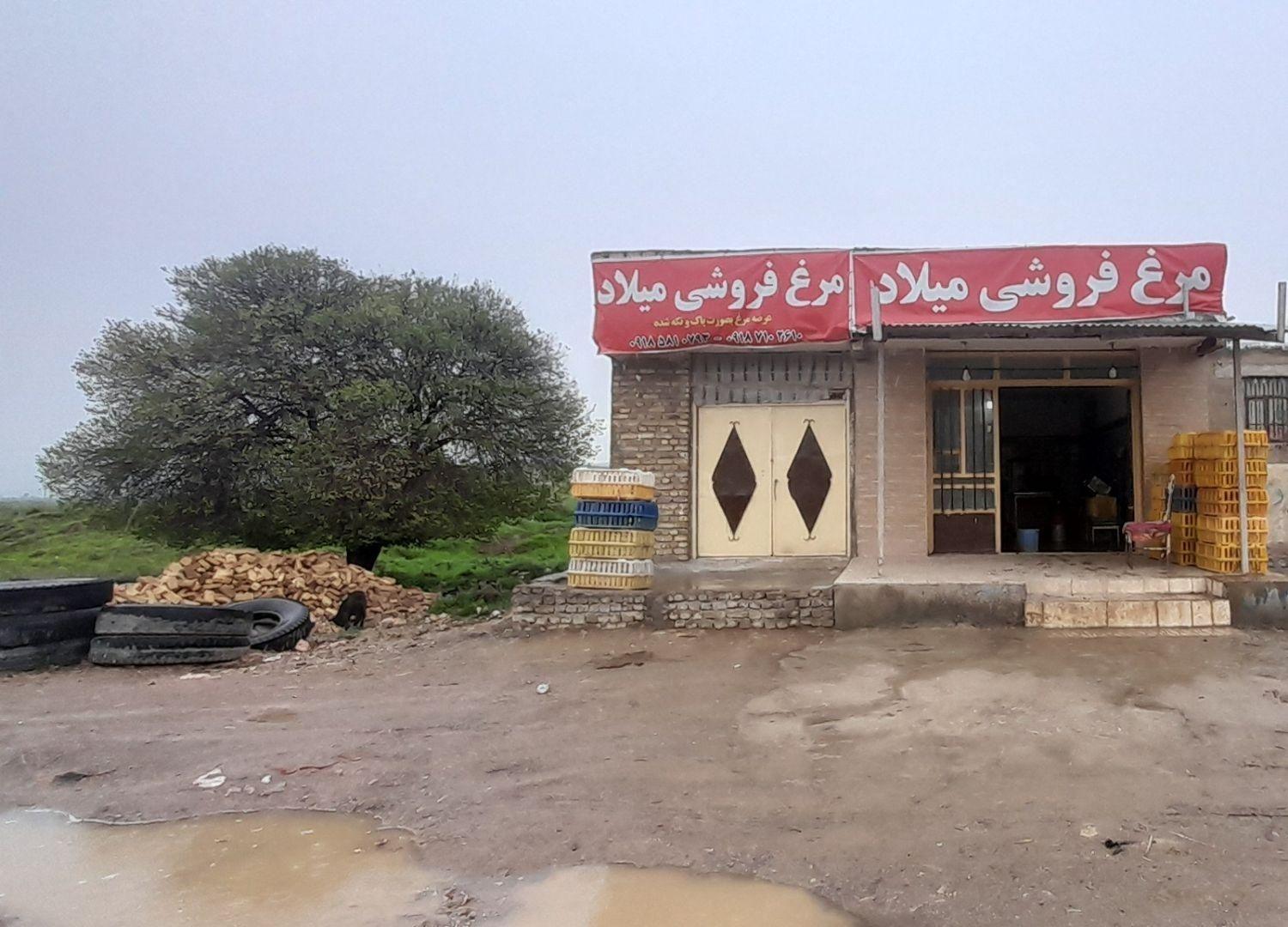 عکس مرغ فروشی میلاد