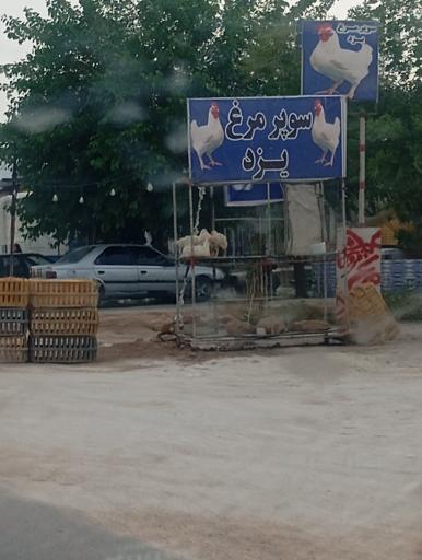 عکس سوپر مرغ یزد