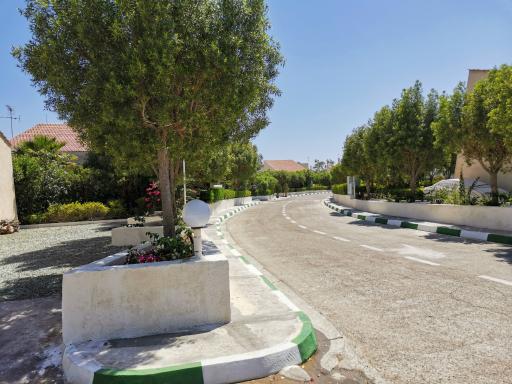 عکس دامون گیت هفت