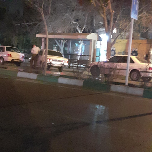 عکس  مسلم شمالی 10