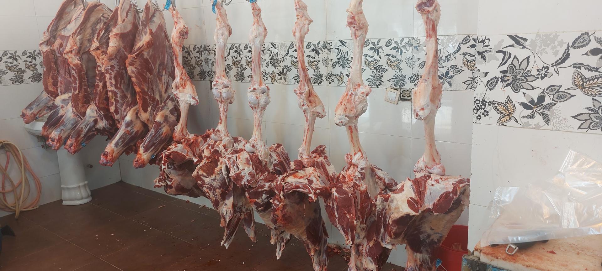 عکس سوپر پروتئین باباجانی