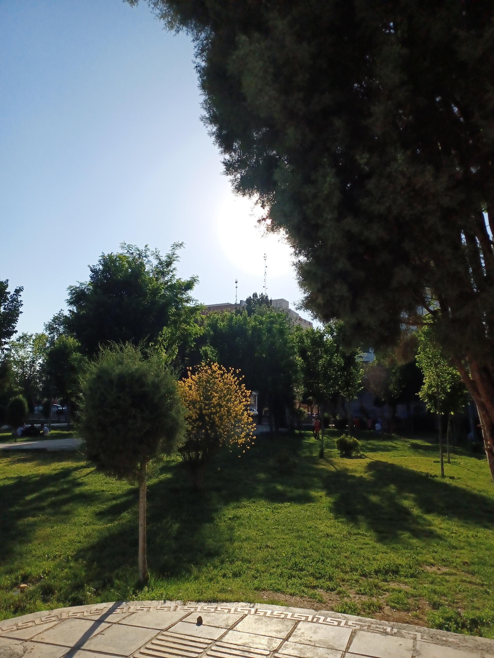 عکس پارک شهرداری